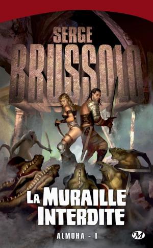 Cover of the book La Muraille interdite by Jérôme Camut, Nathalie Hug