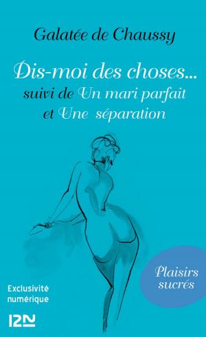 Cover of the book Dis-moi des choses... suivi de Un mari parfait et Une séparation by China MIEVILLE, Bénédicte LOMBARDO