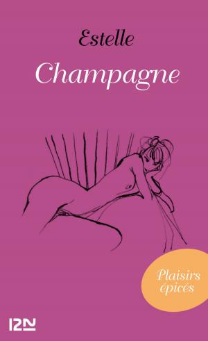 Cover of the book Champagne by Hubert BEN KEMOUN