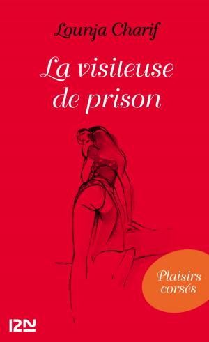 Cover of the book La visiteuse de prison by Philippe DUVERGER