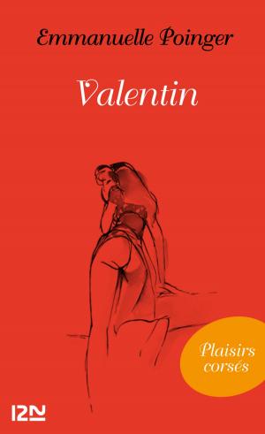Cover of the book Valentin by Jasper FFORDE
