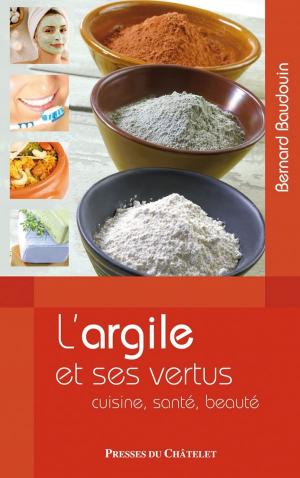 Cover of the book L'argile et ses vertus by Fabrice Midal