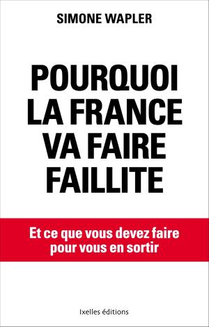 Cover of the book Pourquoi la France va faire faillite by Jean-Pierre Vasseur