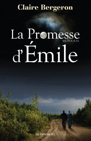 Book cover of La Promesse d'Émile