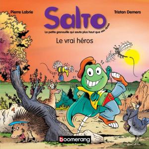 Cover of the book Salto 2 - Le vrai héros by Julie Royer