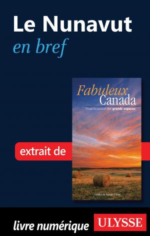 Cover of the book Le Nunavut en bref by Denise Landry, Rémi St-Gelais