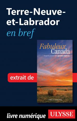 Book cover of Terre-Neuve-et-Labrador en bref