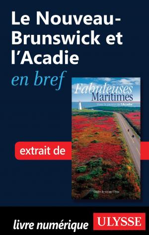 Cover of the book Le Nouveau-Brunswick et l'Acadie en bref by Collectif Ulysse