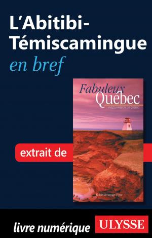 Cover of the book L'Abitibi-Témiscamingue en bref by Benoit Prieur, Frédérique Sauvée