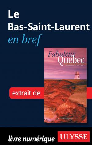 Cover of the book Le Bas-Saint-Laurent en bref by Tours Chanteclerc