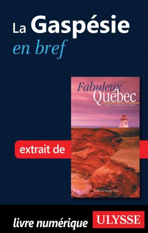 Cover of the book La Gaspésie en bref by Marc Rigole