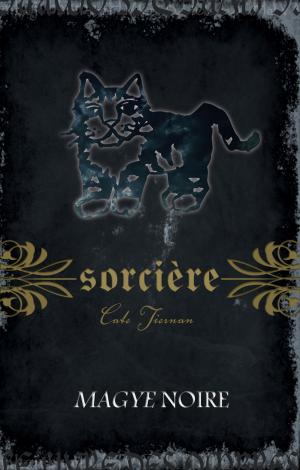 Cover of the book Sorcière by Joan Holub, Suzanne Williams