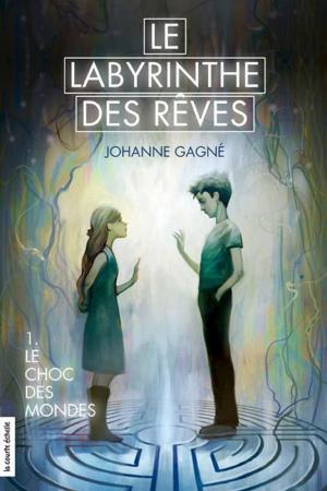Cover of the book Le choc des mondes by Eve Patenaude