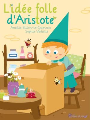 Cover of L'idée folle d'Aristote
