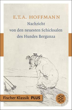Cover of the book Nachricht von den neuesten Schicksalen des Hundes Berganza by Seanan McGuire