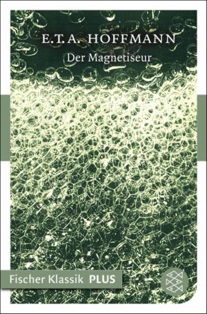 Cover of the book Der Magnetiseur by Bernd Gieseking