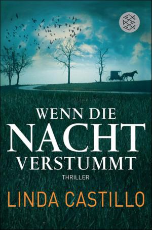 Book cover of Wenn die Nacht verstummt