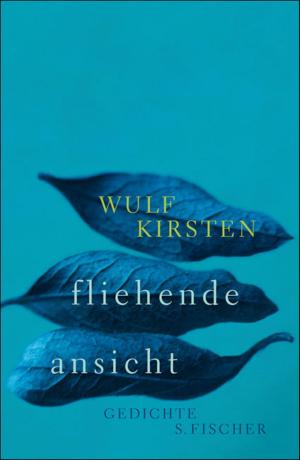 Cover of the book fliehende ansicht by Robert Gernhardt