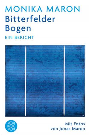Cover of the book Bitterfelder Bogen by Christoph Ransmayr