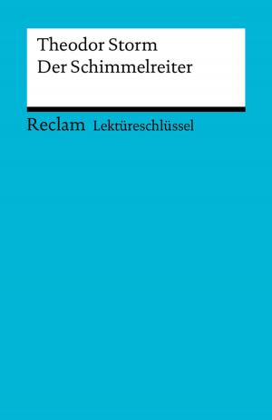 Book cover of Lektüreschlüssel. Theodor Storm: Der Schimmelreiter