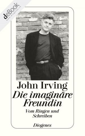 Book cover of Die imaginäre Freundin