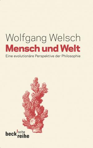 Cover of the book Mensch und Welt by Helmut Remschmidt