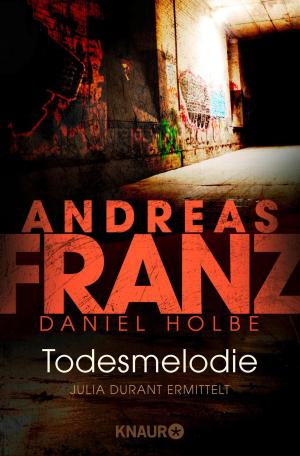 Cover of the book Todesmelodie by Dörte Denzing