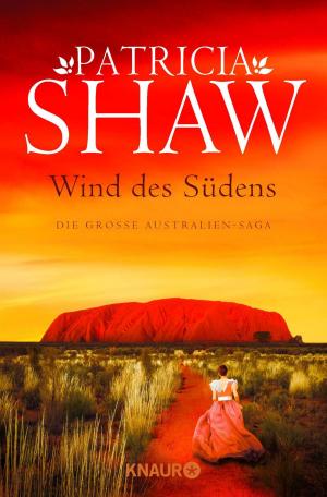 Book cover of Wind des Südens