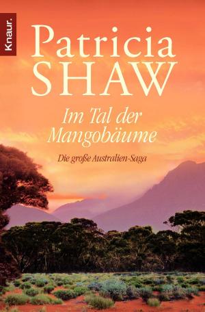 Cover of the book Im Tal der Mangobäume by Marc Ritter, CUS