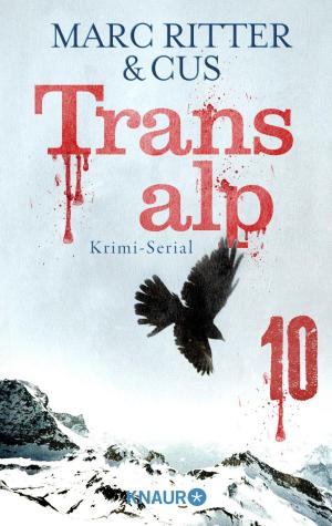 Book cover of Transalp 10