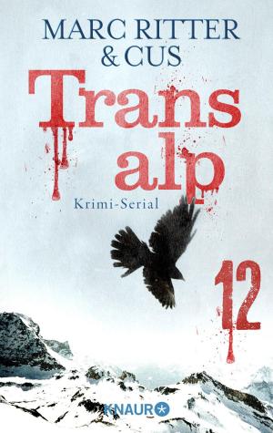 Book cover of Transalp 12