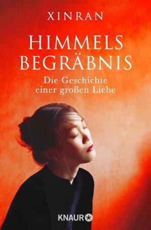 Cover of the book Himmelsbegräbnis by Oliver Kuhn