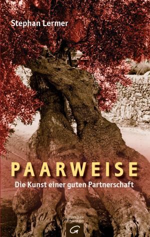 Cover of the book Paarweise by Jörg Zink