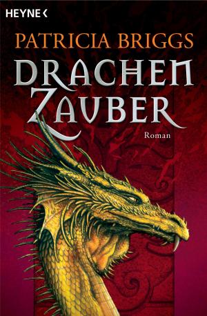 Cover of the book Drachenzauber by Sandra Henke