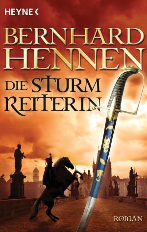 Cover of the book Die Sturmreiterin by Christoph Marzi, Uta Dahnke