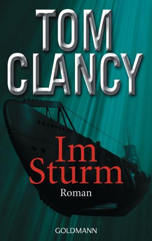 Cover of the book Im Sturm by Peter V. Brett