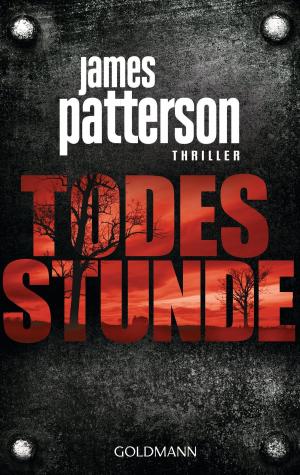 Cover of the book Todesstunde by Boyd Morrison