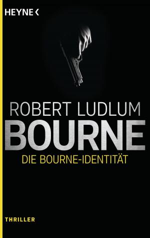 Cover of the book Die Bourne Identität by Julie Kagawa