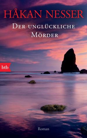 Cover of the book Der unglückliche Mörder by Karen Thompson Walker