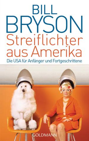 Cover of the book Streiflichter aus Amerika by Bill Bryson
