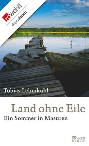 Cover of the book Land ohne Eile by Wolfgang Schmidbauer