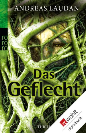 Cover of the book Das Geflecht by Katja Berlin