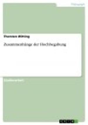 Cover of the book Zusammenhänge der Hochbegabung by Tim During