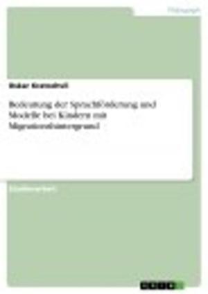 Cover of the book Bedeutung der Sprachförderung und Modelle bei Kindern mit Migrationshintergrund by Daniel Schupmann