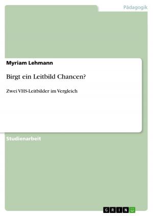 Cover of the book Birgt ein Leitbild Chancen? by Christiane Zönnchen