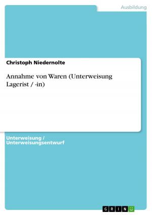Cover of the book Annahme von Waren (Unterweisung Lagerist / -in) by Sebastian Hagedorn