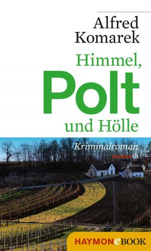 Cover of the book Himmel, Polt und Hölle by Klaus Merz