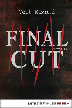 Cover of the book Final Cut by Anja von Stein, Nina Gregor, Sandra Heyden
