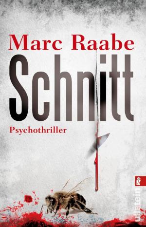 Cover of the book Schnitt by Remy Eyssen