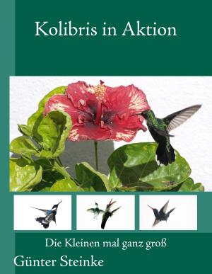 Cover of the book Kolibris in Aktion by Rob Martinez